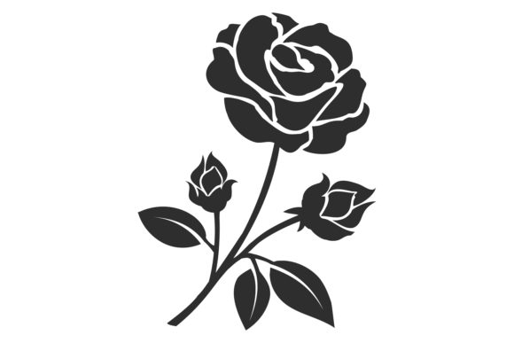 Blooming Rose Stylized Floral Motif. Bot