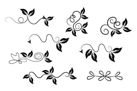 Botanical Ornament Floral Flower