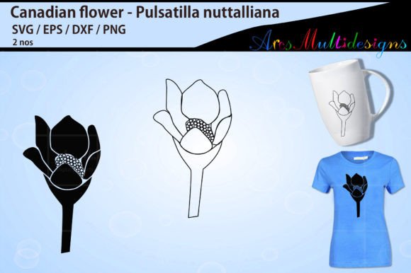 Floral Outline and Silhouette